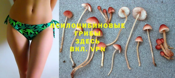 mdpv Надым
