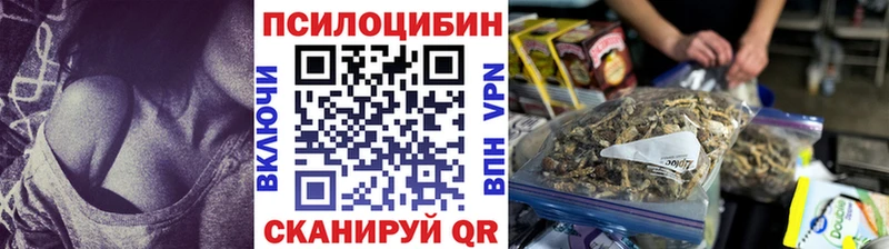 Купить где  Горняк  Псилоцибиновые грибы GOLDEN TEACHER 